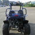 Beach Buggy Off Road gå Kart 