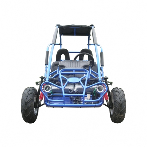 Mitten AV TrailMaster Dune Buggy Off Road