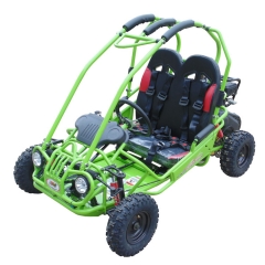 Barn buggy Trailmaster XRS