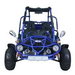 300cc vattenkyld Buggy