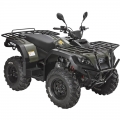 ATV Quad Off Road 4 x 4 300cc grön 