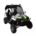 UTV sida vid sida Off Road 300 