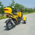 50cc 3 hjul Gas Scooter Trike Motorycycle 