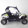 UTV sida vid sida Off Road 300 