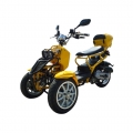 50cc 3 hjul Gas Scooter Trike Motorycycle 