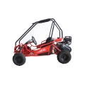 Barn Buggy 50cc fabriken pris 