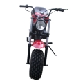 Mini-cykel 196cc fyrtaktsmotorcykel 